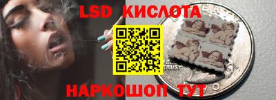 прущие грибы Чебоксары