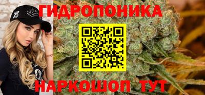 прущие грибы Чебоксары