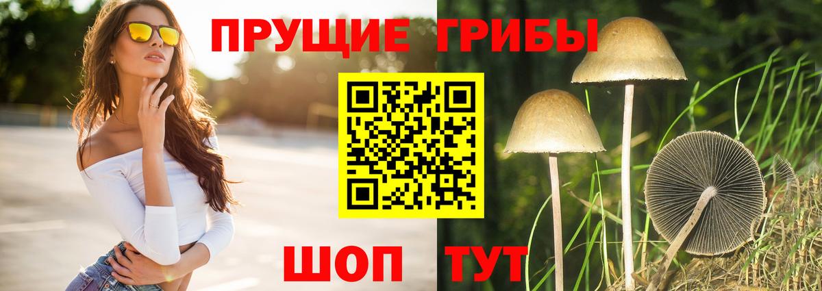Галлюциногенные грибы Magic Shrooms  Вход с VPN  Псилоцибиновые грибы MAGIC MUSHROOMS  Мелеуз 